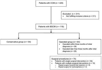 Limited Impact of Serial Follow-Up Imaging in Clinically Stable Patients With Brainstem Cavernous Malformations